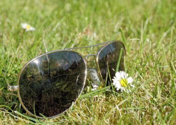 summer, sun, sunglasses, relaxation, vacation, free, grass, nature, leisure time, weekend, daisy, weekend, weekend, weekend, weekend, weekend