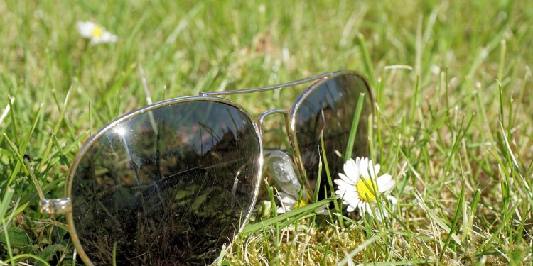 summer, sun, sunglasses, relaxation, vacation, free, grass, nature, leisure time, weekend, daisy, weekend, weekend, weekend, weekend, weekend