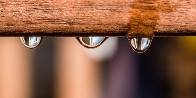 drops, waterdrop, raindrop, wet, water, roll off, clear, glittering, reflection, transparent, board, wood, fiber, grain, waterdrop, waterdrop, waterdrop, waterdrop, waterdrop, clear, clear, clear, nature, clear, transparent, wood, wood, wood