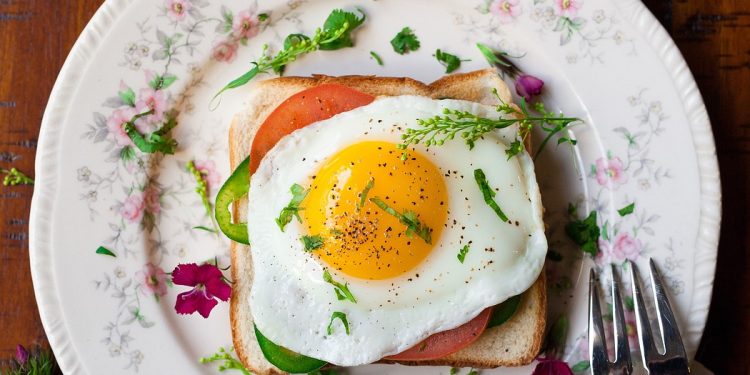 bread, egg, breakfast, delicious, food, food plating, meal, plate, fried egg, open sandwich, flat lay, food photography, egg, egg, breakfast, breakfast, breakfast, breakfast, breakfast, food