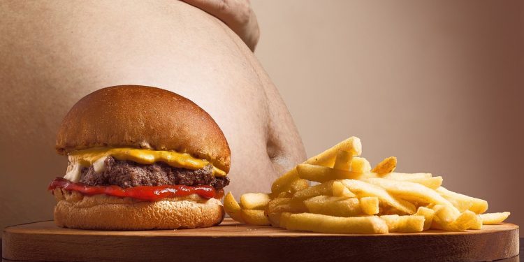 hamburger, p, french fries, belly, abdominal fat, fat, full, filled, obesity, excess, overweight, snack, fast food, unhealthy, healthy, health, diet, food, eating habits, appetite, fat, fat, fat, fat, obesity, obesity, obesity, obesity, obesity, fast food