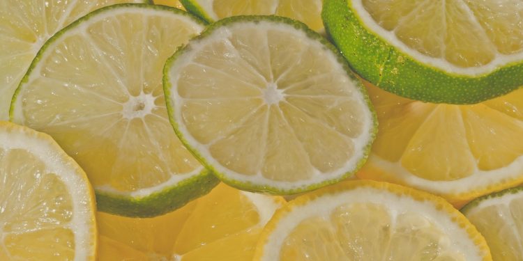 lemon, fruit, lime, nature, citrus, fruits, yellow, vitamins, lemons, healthy, food, acid, sap, macro, acid, acid, acid, acid, acid