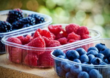 berries, fruit, nutrition, blueberries, raspberries, vitamins, sweet, healthy, berries, berries, berries, berries, fruit, fruit, nutrition, nutrition, nutrition, nutrition, nutrition, blueberries