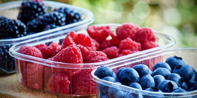 berries, fruit, nutrition, blueberries, raspberries, vitamins, sweet, healthy, berries, berries, berries, berries, fruit, fruit, nutrition, nutrition, nutrition, nutrition, nutrition, blueberries