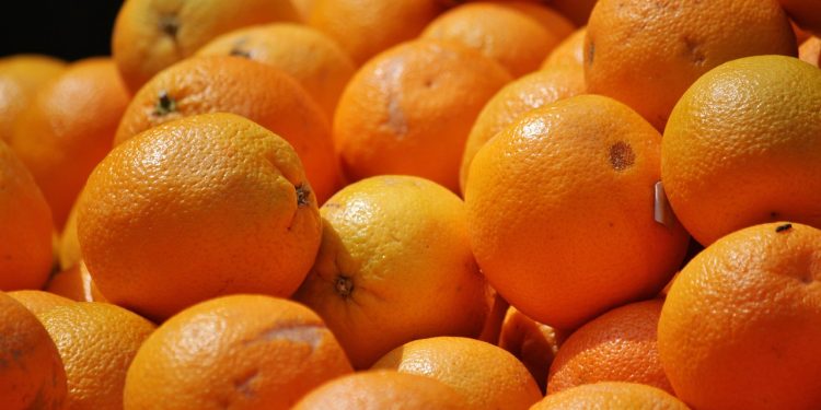 oranges, fruits, food, citrus fruits, healthy, vitamin c, nutrition, fresh, ripe, sweet, harvest, produce, close up, organic, oranges, oranges, oranges, oranges, fruits, fruits, citrus fruits, citrus fruits, vitamin c, vitamin c, vitamin c, vitamin c, vitamin c