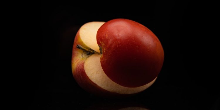 apple, fruit, red apple, sliced apple, macro, close up, isolated on black, sliced fruit, apple, apple, apple, apple, apple