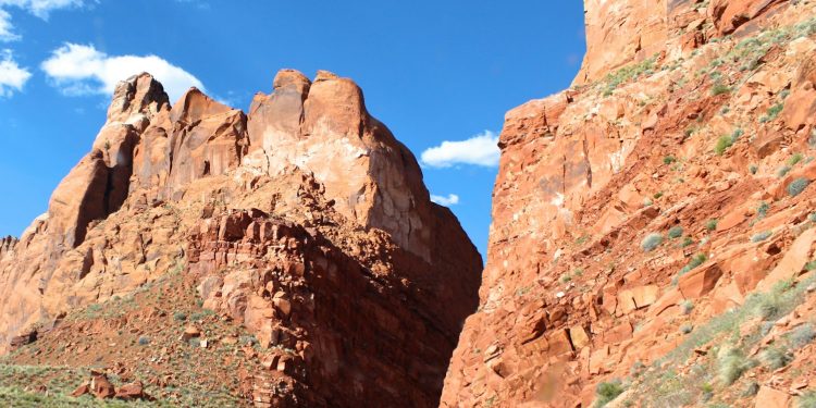 curved road in between brown rock cliffs