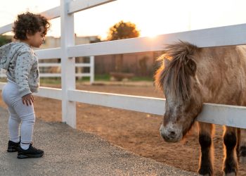 woman in white shirt standing beside brown horse during daytime