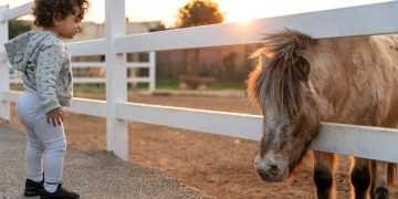 woman in white shirt standing beside brown horse during daytime