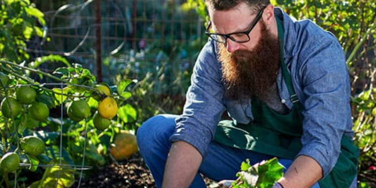 Embrace Simplicity with Lehman’s: Your Destination for Timeless Living Essentials”